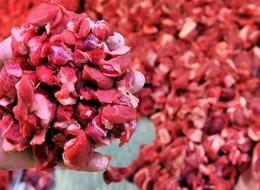 Kırmızı ete zam beklentisi: "Karkas fiyatı 600 TL olmalı"