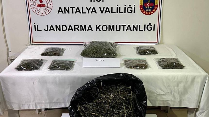 Alanya'da uyuşturucu operasyonu: 800 gram uyuşturucu ele geçirildi