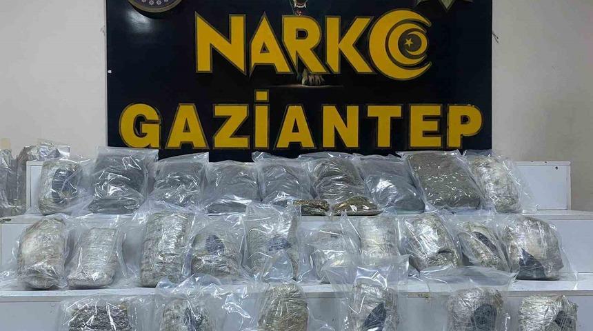 Gaziantep’te 13 kilo skunk ele geçirildi