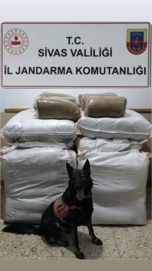 Sivas’ta kaçak tütün operasyonu, 4 Şüpheli yakalandı 1