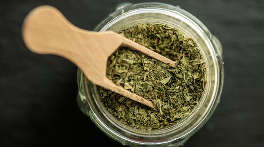 Anadolu’dan dünyaya yayılan şifa: Kekik kanserle mücadelede umut veriyor!