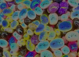 Adı "Osmanlı karışımı" ancak hikayesi bambaşka... İlhamı karı koca kavgasından aldı: Kilosunu 160 TL'den satmaya başladı!