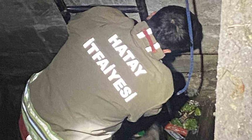 Su dolu kuyuya düşen 2 köpeği itfaiye kurtardı