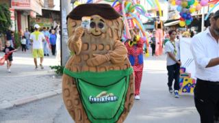Osmaniye'de 'Yer Fıstığı Festivali' başladı