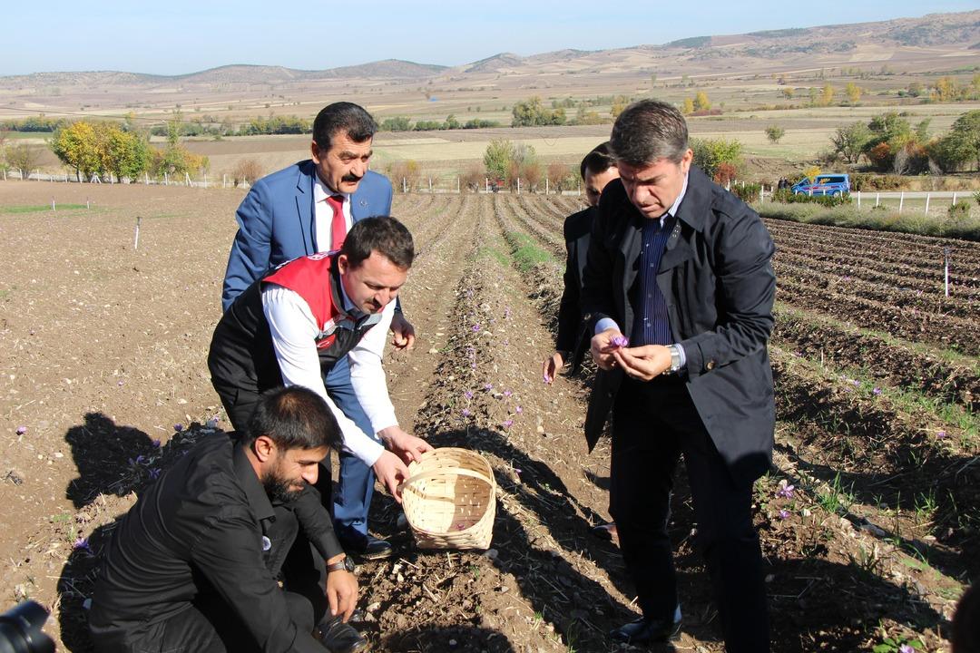 Tam altın gibi! 1 gramı 500 TL, sahtesi de var  Yönelen rahat etti  5