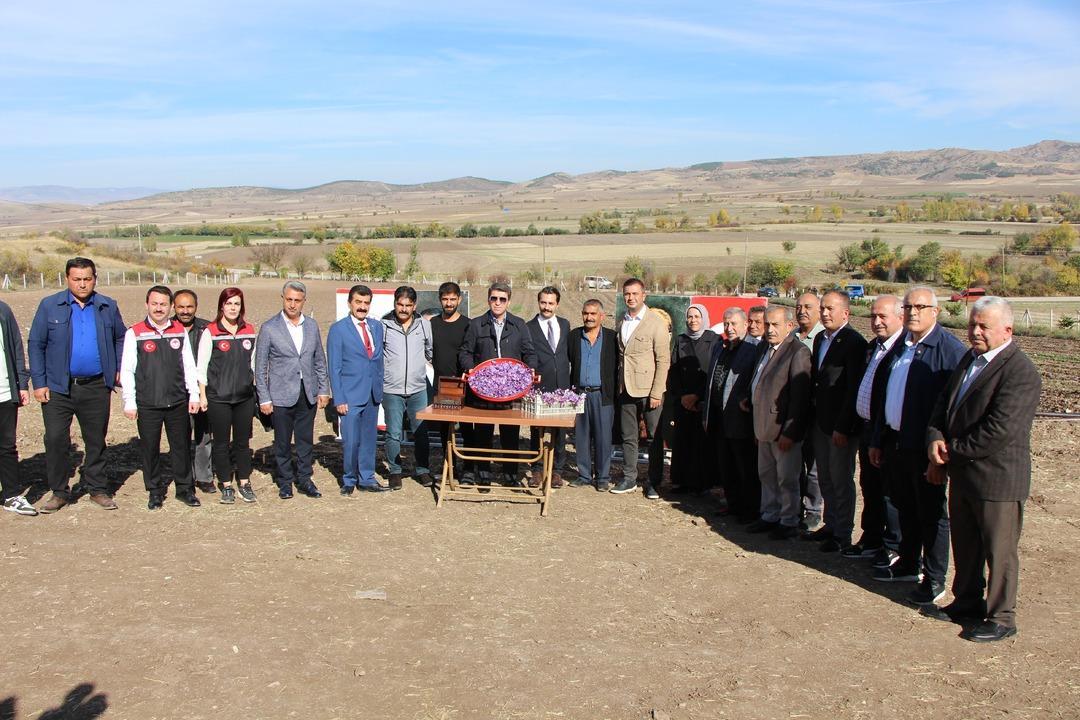 Tam altın gibi! 1 gramı 500 TL, sahtesi de var  Yönelen rahat etti  7