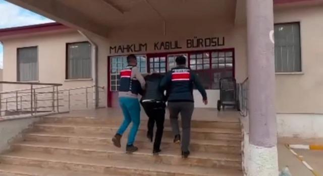 Van merkezli 2 ilde ’nitelikli dolandırıcılık’ operasyonu: 3 gözaltı 3