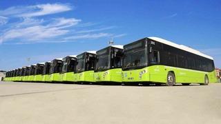 Kocaeli’de yarın toplu ulaşım ücretsiz olacak