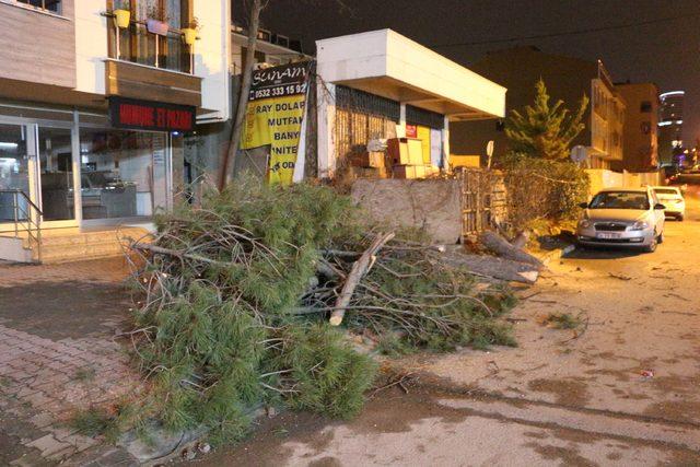 Ataşehir'de ağaç otomobilin üstüne devrildi