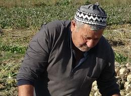 Ton ton fabrikaya satıyorlar! 'Verim iyi' 2 bin 100 TL'den alıcısı var