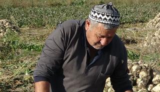 Ton ton fabrikaya satıyorlar! 
