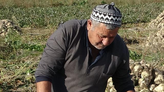 Ton ton fabrikaya satıyorlar! 'Verim iyi' 2 bin 100 TL'den alıcısı var