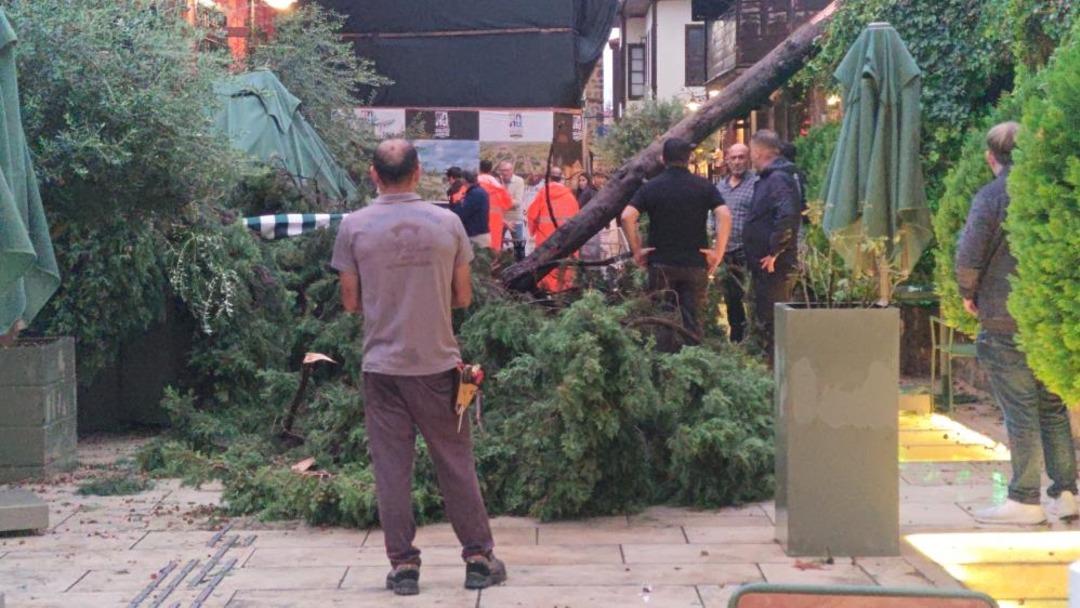 Antalya da sağanak ve dolu hayatı felç etti, devrilen ağacın altında kalan 3 kişi yaralandı! 17 il için sağanak yağış uyarısı  1