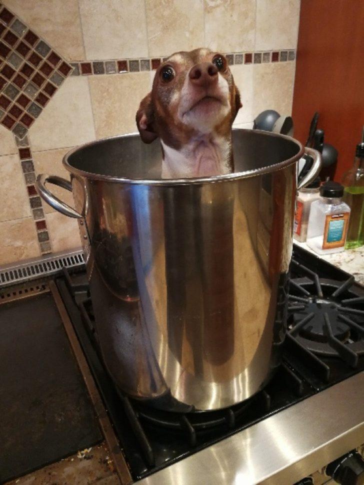 Yaşına rağmen çocuk ruhunu kaybetmemiş insanların eğlenceli halleri G4