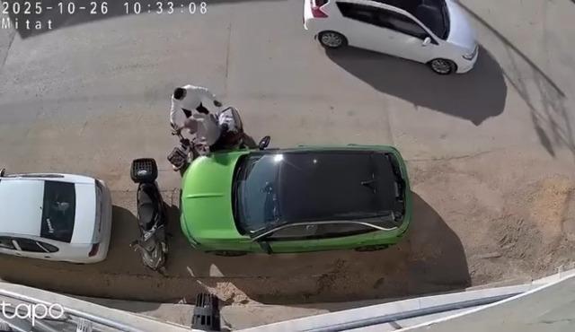 Park halindeki otomobile çarpıp hiçbir şey olmamış gibi kaçtı 2