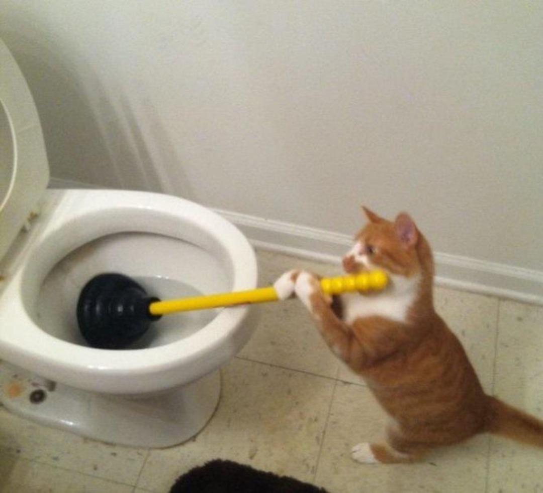 G&uuml;lmekten karnınızı ağrıyacak