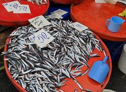 Fiyatı 50 TL'ye kadar düştü! Önünde kuyruk oldu 'O saatlerde daha uygun'