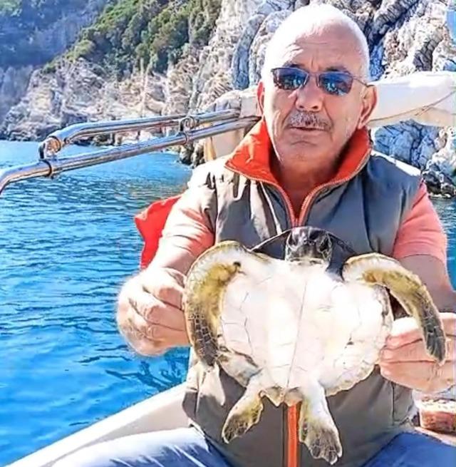 Marmaris Körfezi’nde çuvala dolanan deniz kaplumbağasını çevreciler kurtardı 2