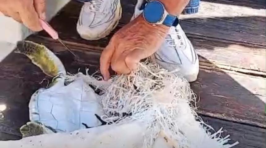 Marmaris Körfezi’nde çuvala dolanan deniz kaplumbağasını çevreciler kurtardı