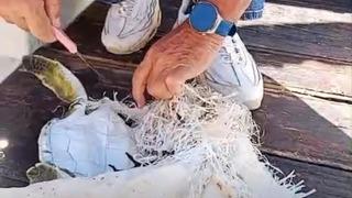 Marmaris Körfezi’nde çuvala dolanan deniz kaplumbağasını çevreciler kurtardı