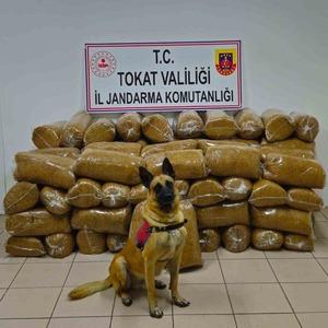 Tokat’ta 450 kilo kaçak tütün yakalandı