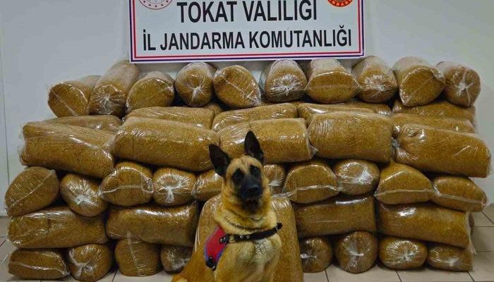 700x400 Tokat’ta 450 kilo kaçak tütün yakalandı