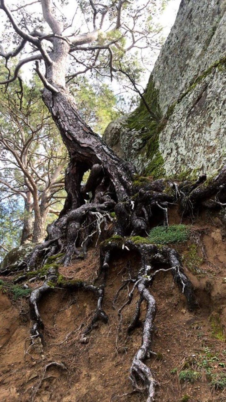 Alaçatı'da romantik tatil G5