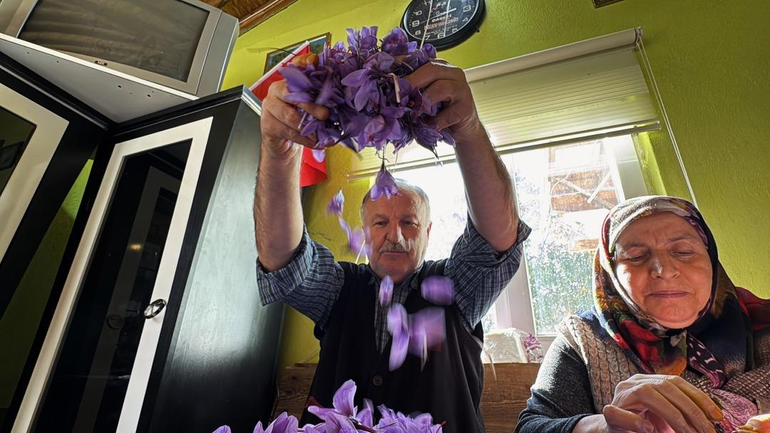 80 bin tanesinden yarım kilo çıkıyor! 1 gramı 600 TL  6