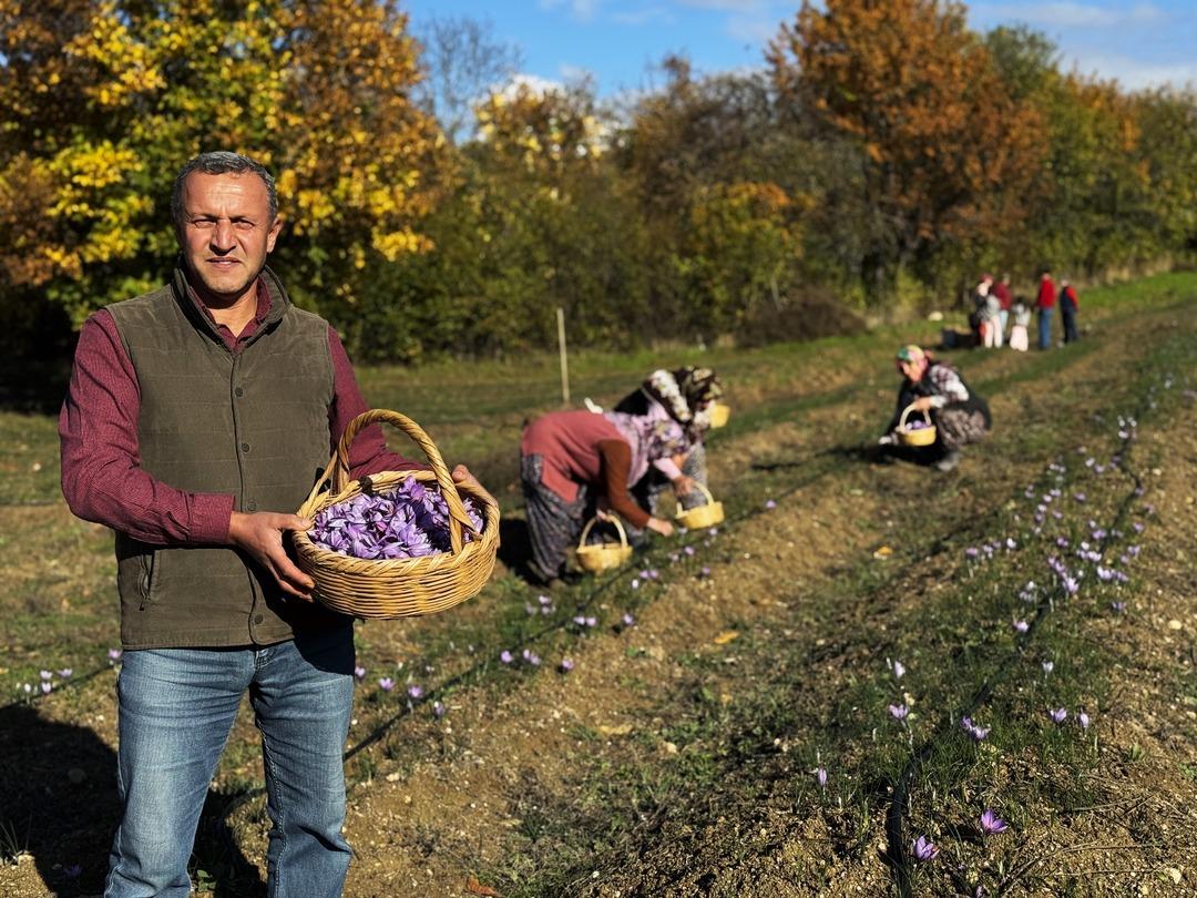 80 bin tanesinden yarım kilo çıkıyor! 1 gramı 600 TL  7