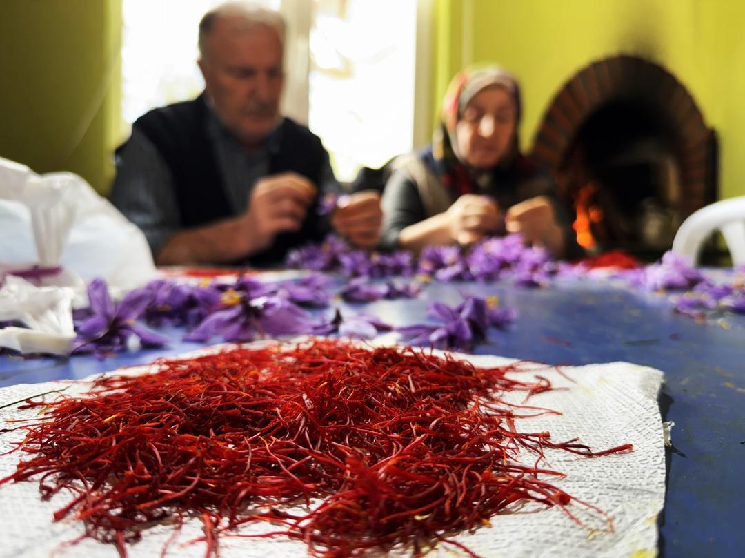 80 bin tanesinden yarım kilo çıkıyor! 1 gramı 600 TL  2