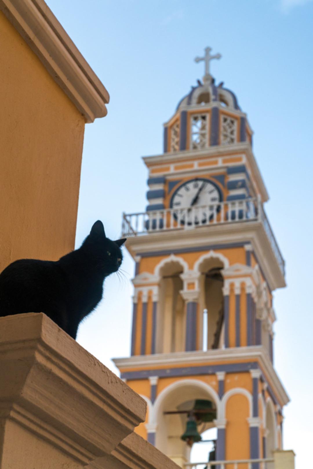 Tarih&ccedil;iler bile şaşırdı: Kilisenin duvarları arasından &ccedil;ıktı! Ger&ccedil;ek sonradan ortaya &ccedil;ıktı 2