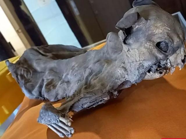 Tarihçiler bile şaşırdı: Kilisenin duvarları arasından çıktı!