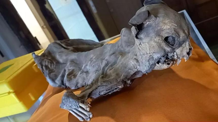 Tarih&ccedil;iler bile şaşırdı: Kilisenin duvarları arasından &ccedil;ıktı! Ger&ccedil;ek sonradan ortaya &ccedil;ıktı