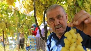 40 TL'ye alıcı buluyor 'Çaresiz' kaldılar