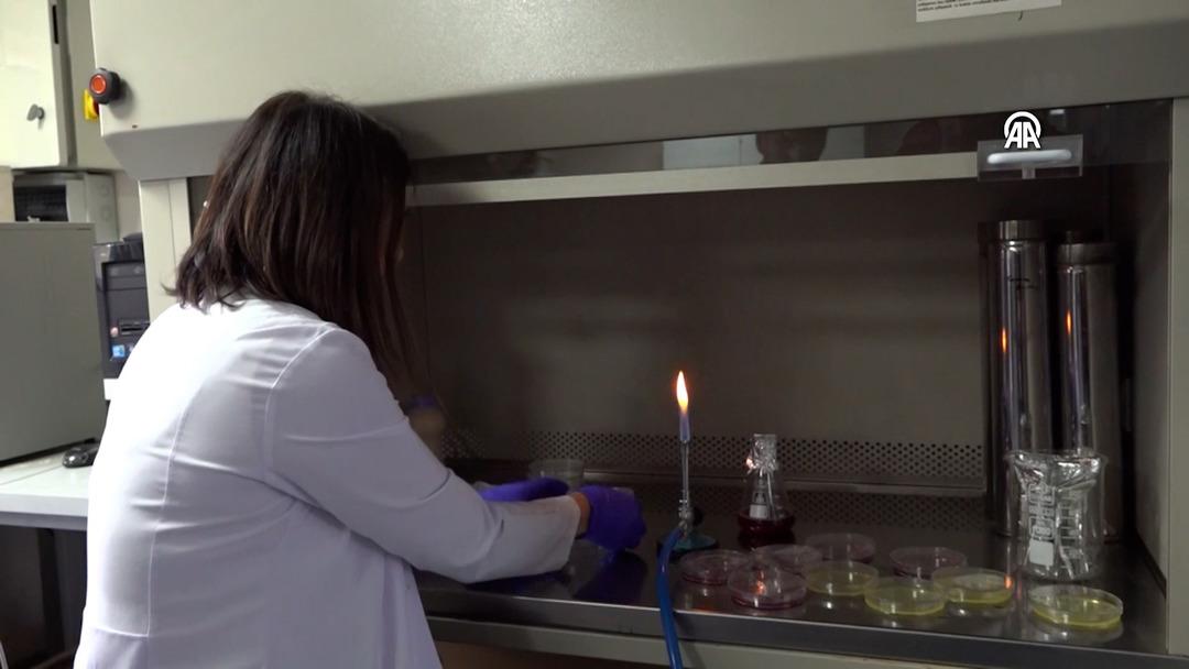 Kardeşinin fikri, bilim insanının buluşu oldu!  Akıllı Beslenme Torbası  tescillendi: Bozulan besini renkle bildiriyor  1