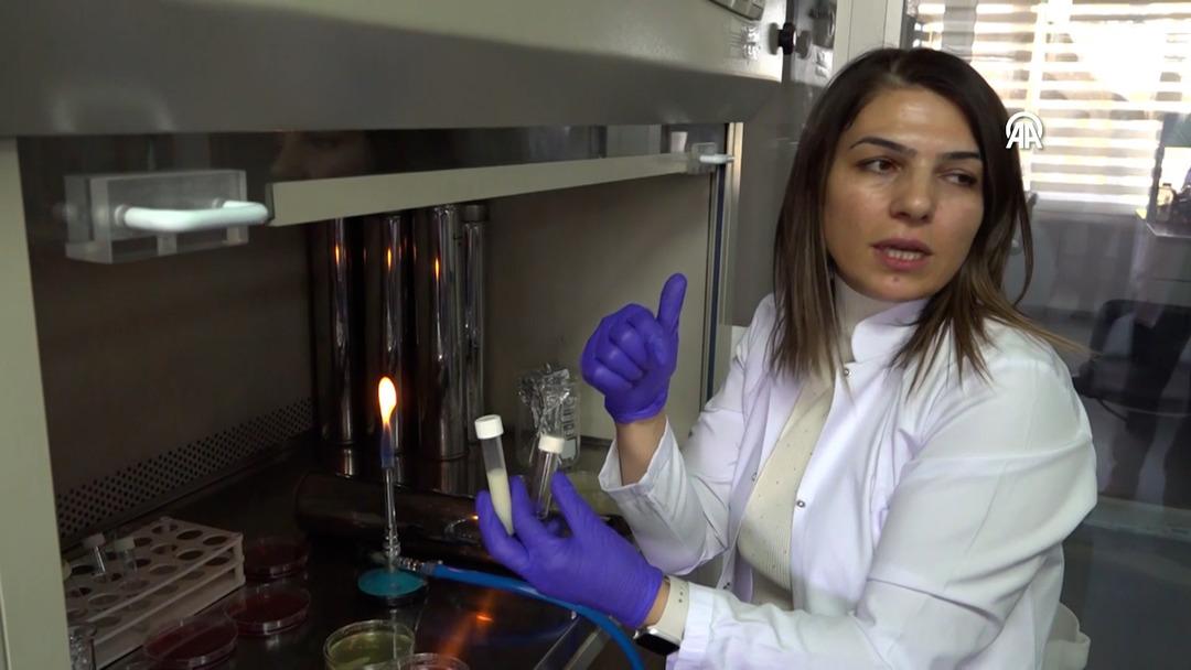 Kardeşinin fikri, bilim insanının buluşu oldu!  Akıllı Beslenme Torbası  tescillendi: Bozulan besini renkle bildiriyor  2