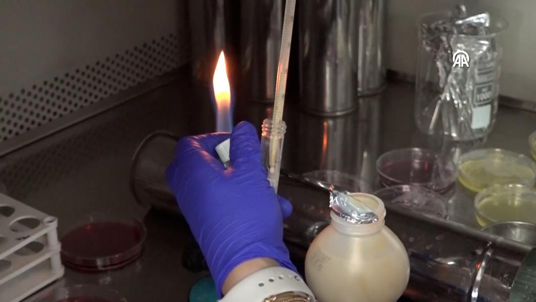 Kardeşinin fikri, bilim insanının buluşu oldu!  Akıllı Beslenme Torbası  tescillendi: Bozulan besini renkle bildiriyor  3