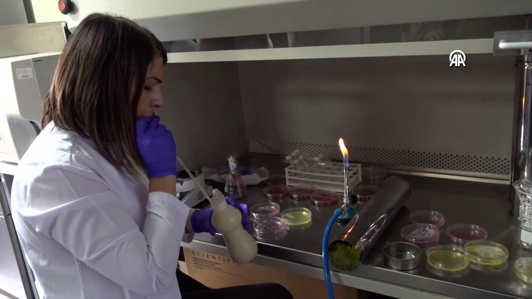 Kardeşinin fikri, bilim insanının buluşu oldu!  Akıllı Beslenme Torbası  tescillendi: Bozulan besini renkle bildiriyor  4