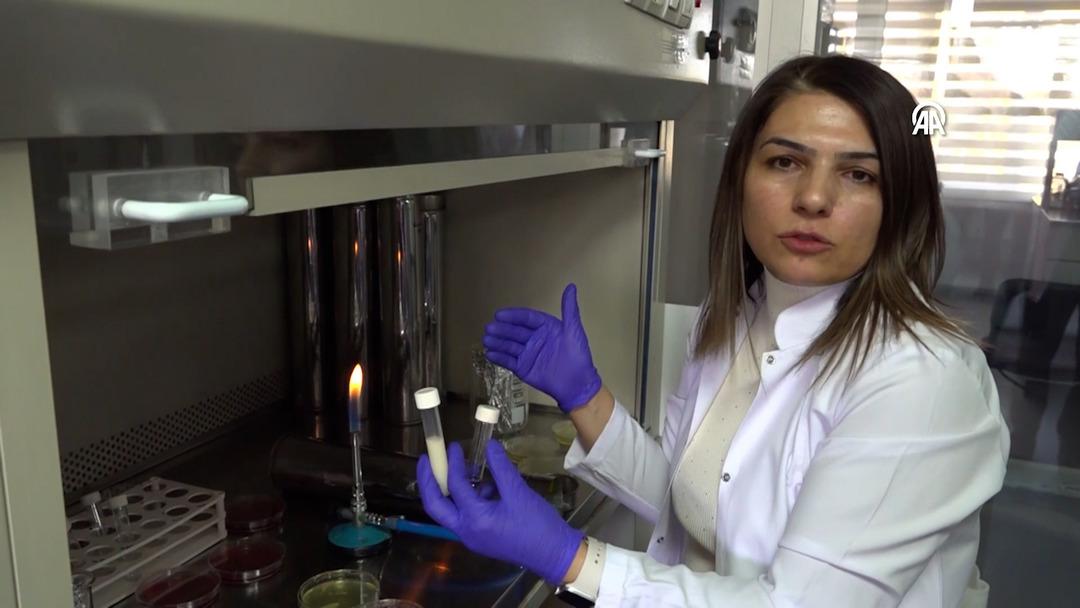 Kardeşinin fikri, bilim insanının buluşu oldu!  Akıllı Beslenme Torbası  tescillendi: Bozulan besini renkle bildiriyor  5