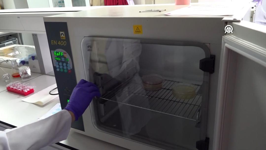 Kardeşinin fikri, bilim insanının buluşu oldu!  Akıllı Beslenme Torbası  tescillendi: Bozulan besini renkle bildiriyor  7