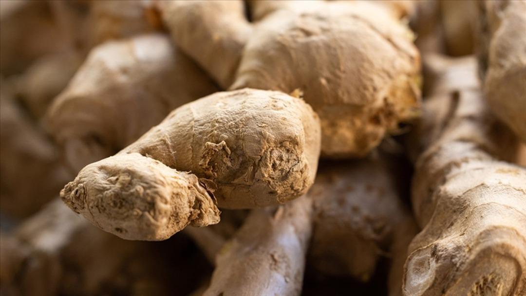 Beslenme uzmanından sonbaharda bağışıklığı güçlendiren 8 mucize besin... 5