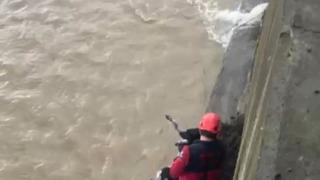 Derede mahsur kalan köpeği itfaiye ekibi kurtardı