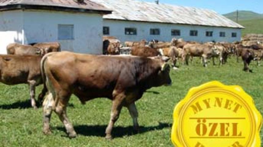İşte Türkiye'de tarım gerçeği