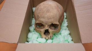 60 yıl önce çaldığı insan kafatasını iade etti! Kimliği bilinmiyor...