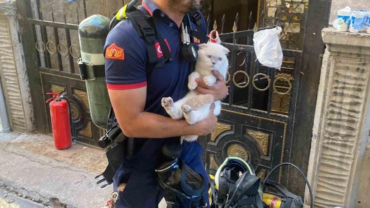 1200x675 Siirt’te yangında mahsur kalan kediyi itfaiye ekipleri kurtardı