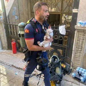 Siirt’te yangında mahsur kalan kediyi itfaiye ekipleri kurtardı