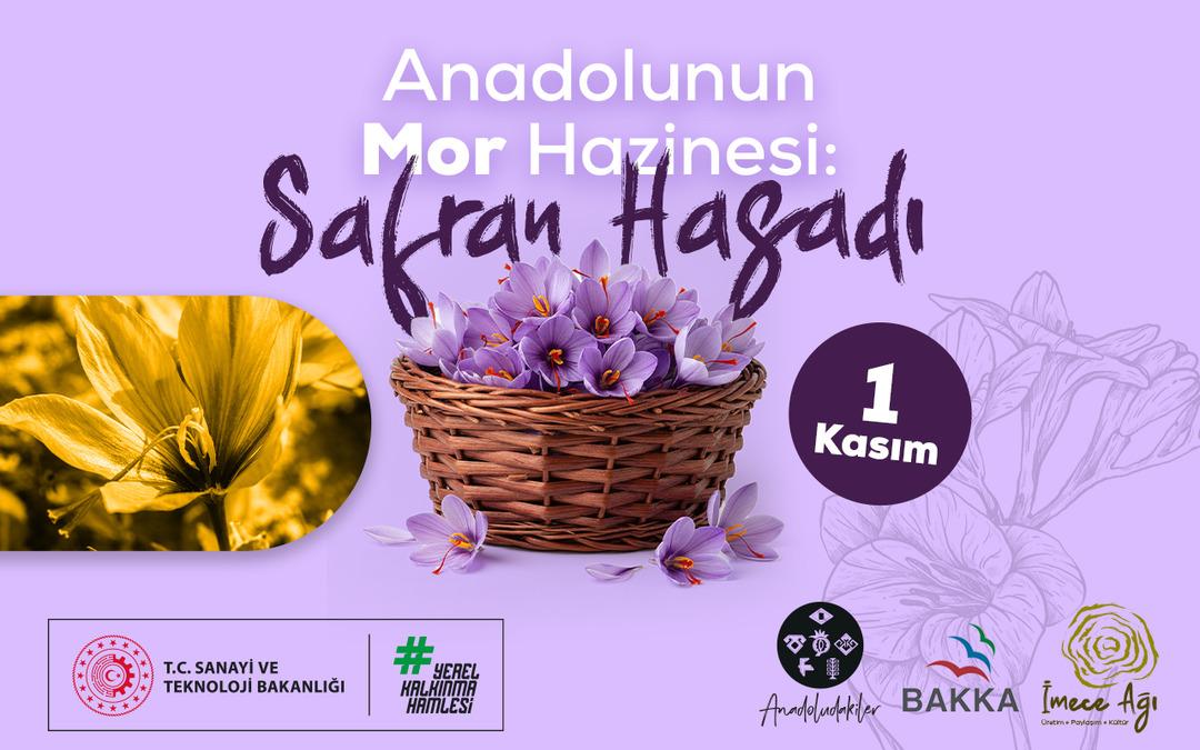 1 Kasım da başlıyor! Safranbolu’da safran imecesi: Katılımcılar tüm süreçleri deneyimleyecek 1
