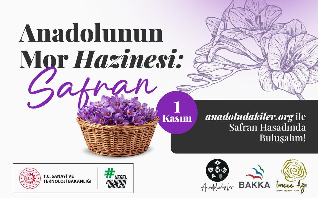 1 Kasım da başlıyor! Safranbolu’da safran imecesi: Katılımcılar tüm süreçleri deneyimleyecek 5