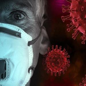 DSÖ'den kötü haberi verdi! M çiçeği virüsü Afrika'nın ötesine yayıldı