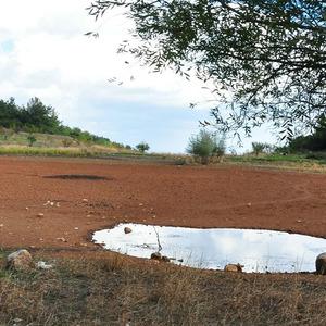 Sülüklü göl kurudu! Geçen yıl tankerlerle kurtarılmıştı: Bu yıl tamamen kurudu